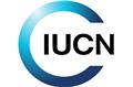IUCN teams up with the International Olympic Committee for conservation win in 2024