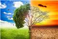 ردپای تغییرات اقلیمی در ظهور ویروس کرونا
