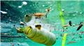 ۱۲ نکته درباره پلاستیک‌ها، آفت‌های مصنوعی محیط زیست