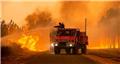 خسارت آتش‌سوزی‌های جنگلی اخیر در اروپا بی‌سابقه بوده است