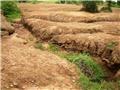 فرسایش سالانه بیش از ۱۶ تن خاک در هکتار در کشور