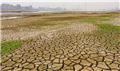 بخش وسیعی از کره زمین تحت تاثیر خشکسالی