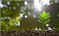 همزمان با روز جهانی خاک (14 آذرماه)، همایش بین المللی «حفاظت از خاک، صنعت و امنیت غذایی» برگزار می شود