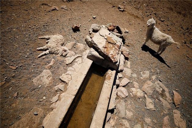 آیا ۲۰۲۳ گرم‌ترین سال در تاریخ جهان خواهد بود؟