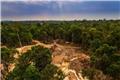 برزیل موفق به کاهش جنگل‌زدایی در آمازون شد