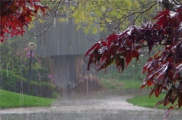 بارش باران در نوار شمالی کشور