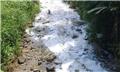 نشت مواد شیمیایی در رودخانه‌ای در برزیل و کمبود شدید آب