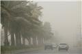 افزایش احتمال تصویب قطعنامه «مقابله با طوفان‌های شن و گرد و غبار» در مجمع جهانی محیط زیست