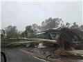 طوفان و بارندگی سیل‌آسا در شرق استرالیا؛ بیش از ۱۰۰ پرواز لغو شد