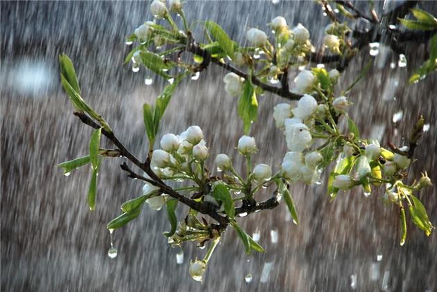 رگبار باران، رعد و برق در مناطق مختلف کشور