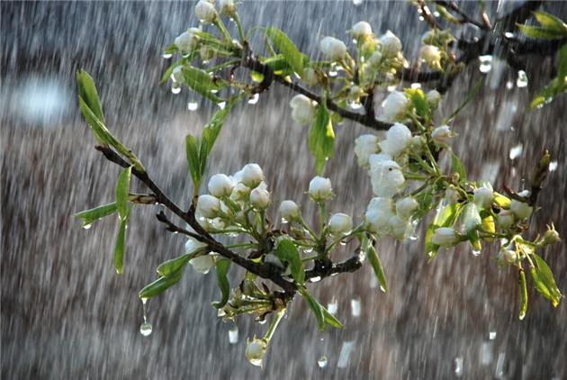 بارش باران و وزش باد در بیشتر استان‌ها