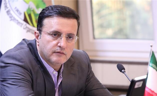 لزوم هم‌افزایی برای حفاظت از جنگل‌های زاگرس